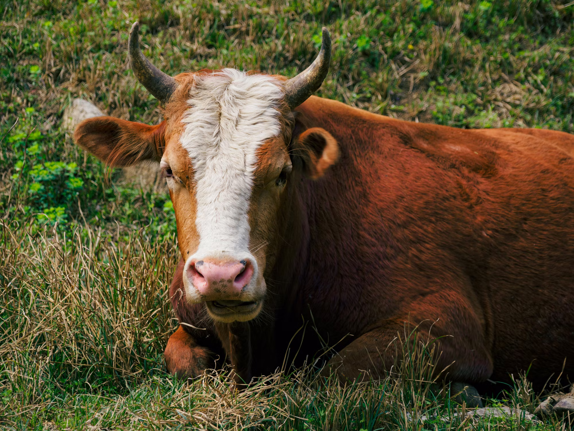 Exploring the World: A Journey Through Different Travel Styles Exploring the World: A Journey Through Different Travel Styles