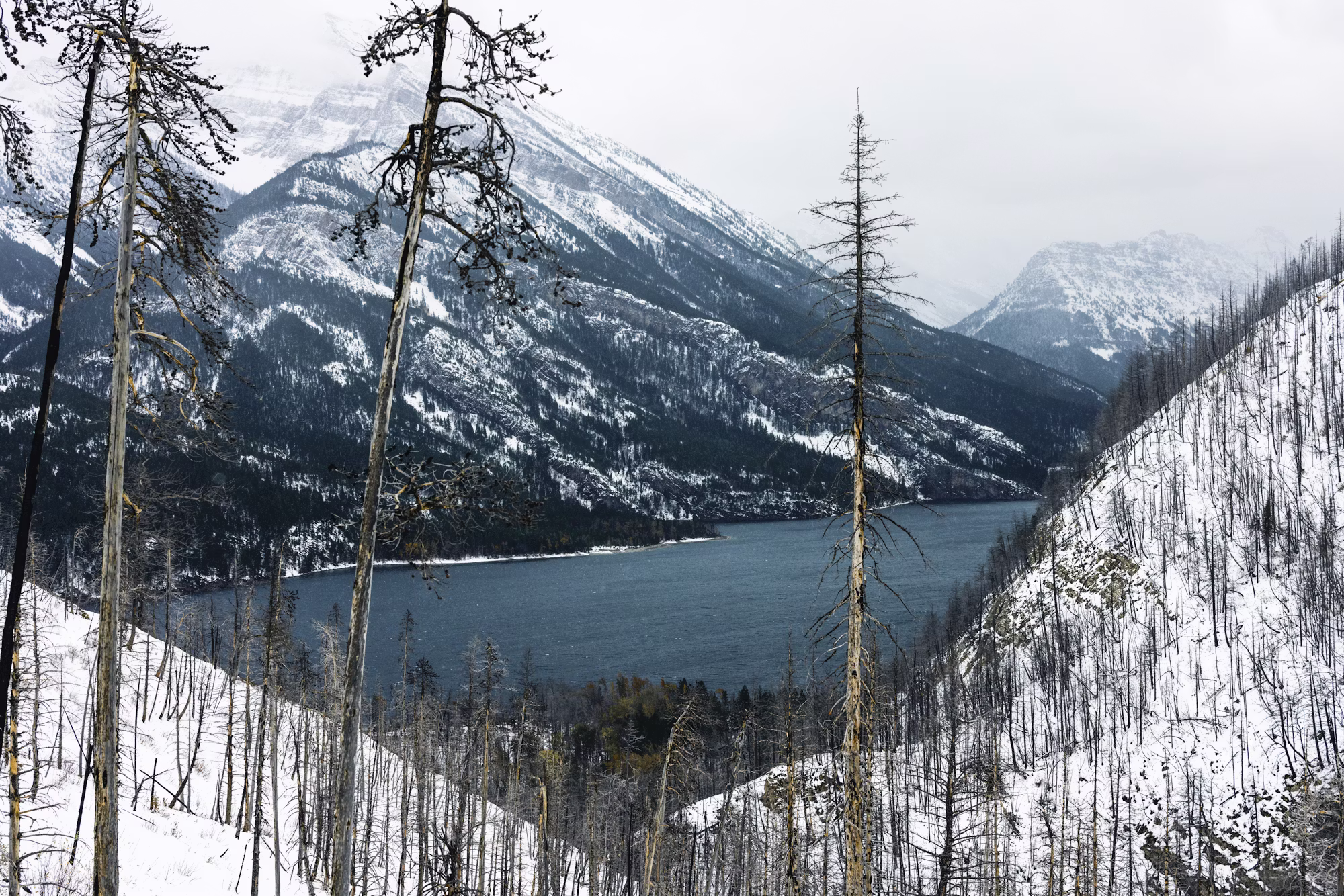 A Family Guide to Camping: Creating Lasting Memories in Nature A Family Guide to Camping: Creating Lasting Memories in Nature
